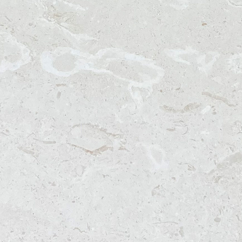 24×24 Symra Shell Beige Honed Limestone Field Tile – CERAMISTONE