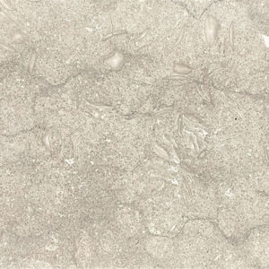 Seagrass Limestone